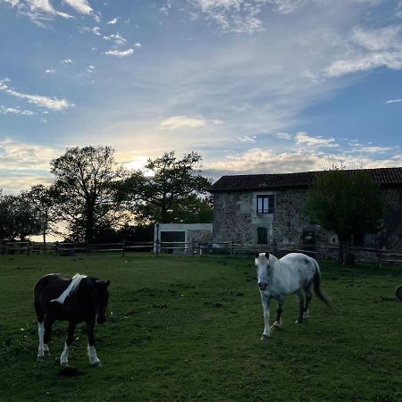 Gite A La Campagne Au Bord D'Un Lac 8 Personnes Saint-Quentin-sur-Charente Exteriör bild