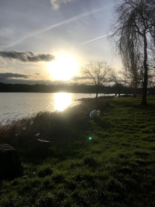 Gite A La Campagne Au Bord D'Un Lac 8 Personnes Saint-Quentin-sur-Charente Exteriör bild