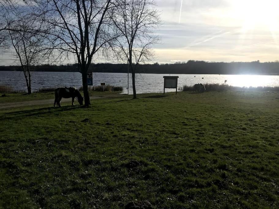 Gite A La Campagne Au Bord D'Un Lac 8 Personnes Saint-Quentin-sur-Charente Exteriör bild